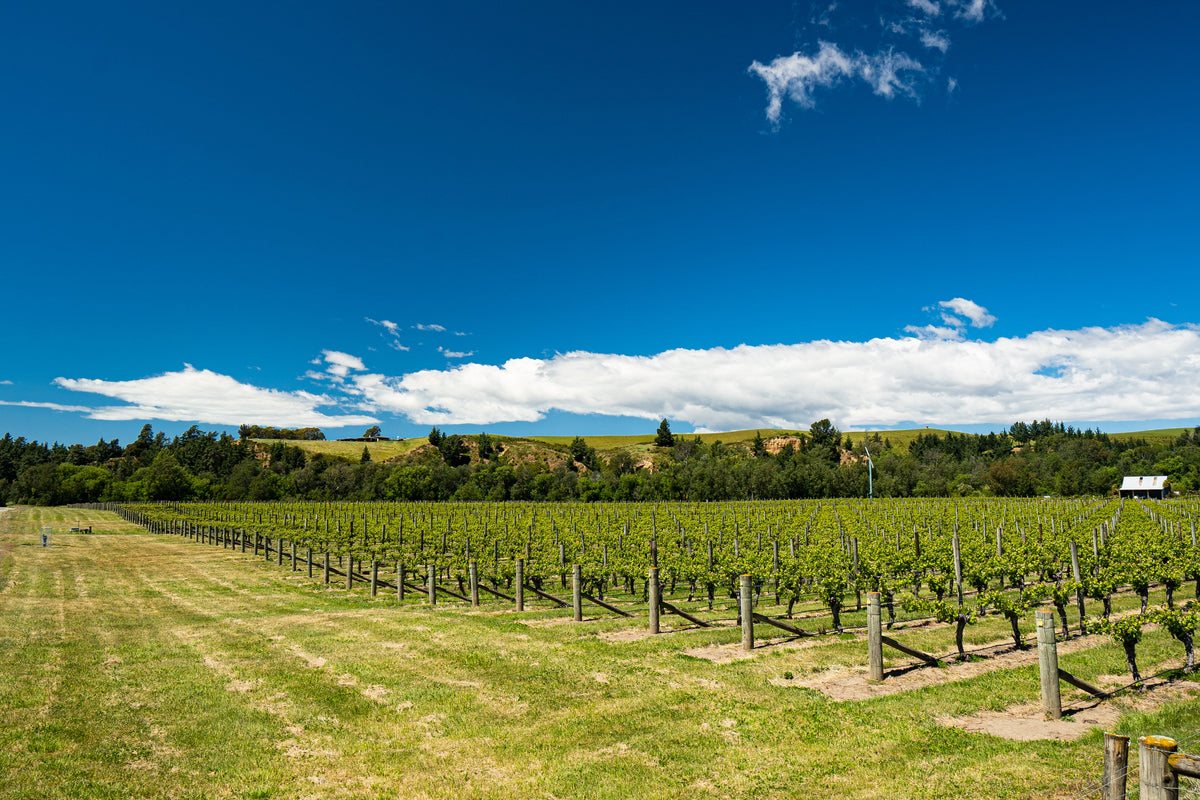 A big couple of months at Sugar Loaf